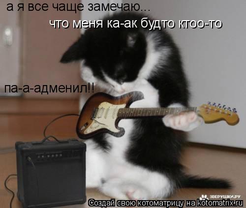 а я все чаще замечаю... что меня ка-ак будто ктоо-то па-а-адменил!!... Котоматрица: а я все чаще замечаю... что меня ка-ак будто ктоо-то па-а-адменил!!