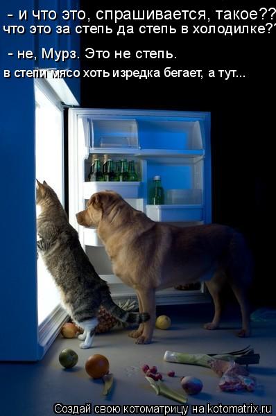 что это за степь да степь в холодилке?? - не, Мурз. Это не степь. в степи мясо хоть изредка бегает, а... Котоматрица: что это за степь да степь в холодилке?? - не, Мурз. Это не степь. в степи мясо хоть изредка бегает, а тут... - и что это, спрашивается, такое???