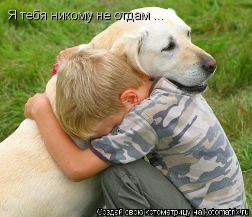 Я тебя никому не отдам ...... Котоматрица: Я тебя никому не отдам ...