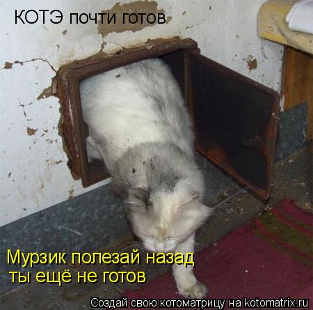 КОТЭ почти готов Мурзик полезай назад ты ещё не готов... Котоматрица: КОТЭ почти готов Мурзик полезай назад ты ещё не готов