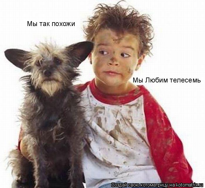 Мы так похожи Мы Любим телесемь... Котоматрица: Мы так похожи Мы Любим телесемь