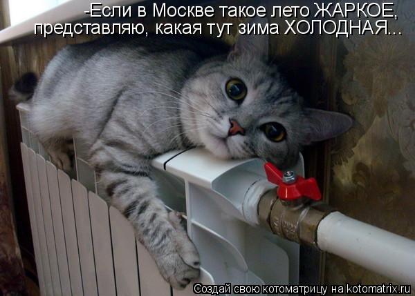 -Если в Москве такое лето ЖАРКОЕ, представляю, какая тут зима ХОЛОДНАЯ...... Котоматрица: -Если в Москве такое лето ЖАРКОЕ, представляю, какая тут зима ХОЛОДНАЯ...