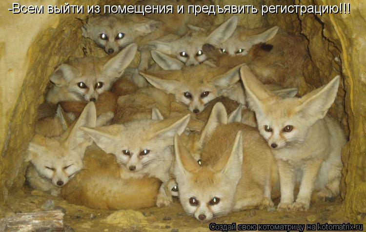 -Всем выйти из помещения и предъявить регистрацию!!!... Котоматрица: -Всем выйти из помещения и предъявить регистрацию!!!