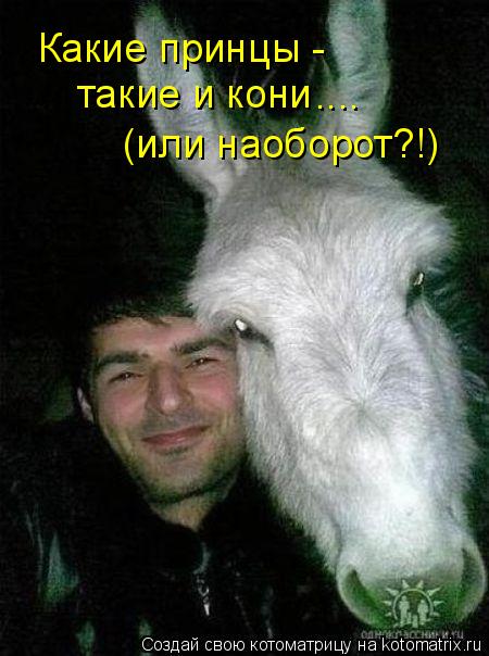 Какие принцы - такие и кони (или наоборот?!) ....... Котоматрица: Какие принцы - такие и кони (или наоборот?!) ....