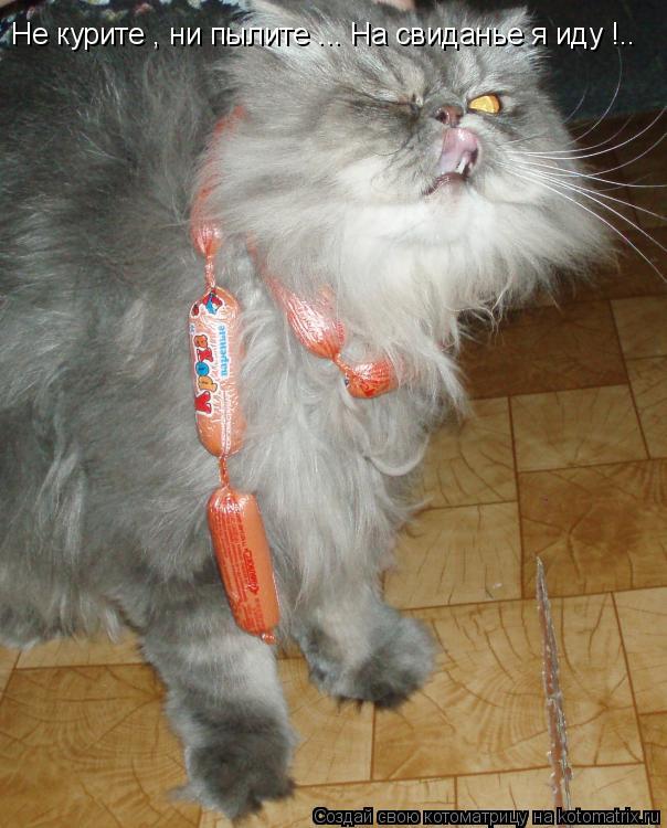 Не курите , ни пылите ... На свиданье я иду !..... Котоматрица: Не курите , ни пылите ... На свиданье я иду !..