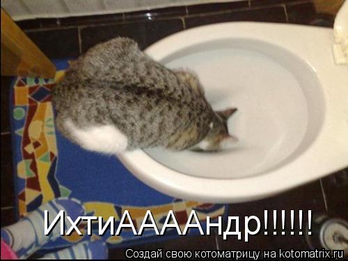 ИхтиААААндр!!!!!!... Котоматрица: ИхтиААААндр!!!!!!