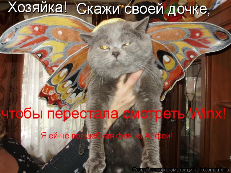 Хозяйка! Скажи своей дочке, чтобы перестала смотреть Winx! Я ей не волшебная фея из Алфеи!... Котоматрица: Хозяйка! Скажи своей дочке, чтобы перестала смотреть Winx! Я ей не волшебная фея из Алфеи!
