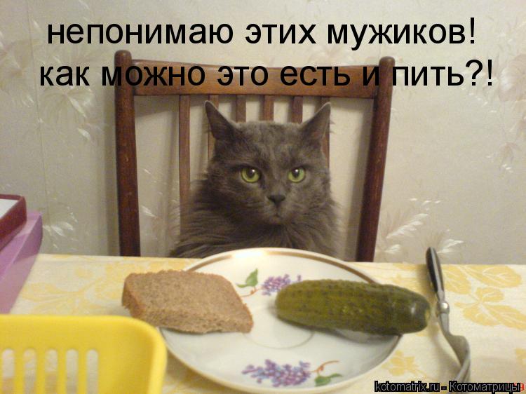 Котоматрица: непонимаю этих мужиков! как можно это есть и пить?!