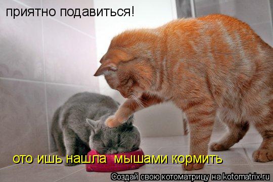 Котоматрица: приятно подавиться! ото ишь нашла  мышами кормить