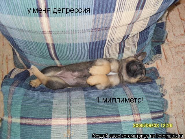 Котоматрица: у меня депрессия 1 миллиметр!