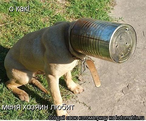 Котоматрица: о как! меня хозяин любит