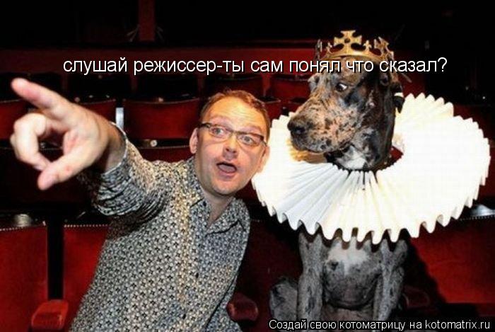 Котоматрица: слушай режиссер-ты сам понял что сказал?