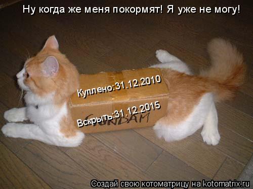 Котоматрица: Ну когда же меня покормят! Я уже не могу! Вскрыть:31.12.2015 Куплено:31.12.2010