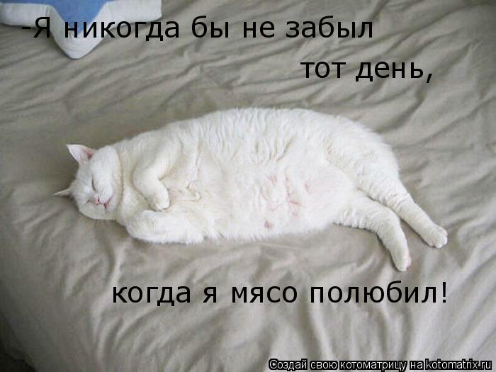 Котоматрица: -Я никогда бы не забыл тот день, когда я мясо полюбил!