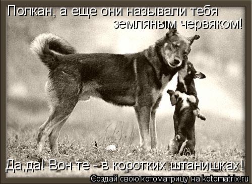 Котоматрица: Полкан, а еще они называли тебя  земляным червяком! Да,да! Вон те - в коротких штанишках!