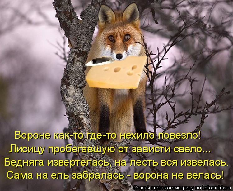 Котоматрица: Вороне как-то где-то нехило повезло! Лисицу пробегавшую от зависти свело... Бедняга извертелась, на лесть вся извелась. Сама на ель забралась