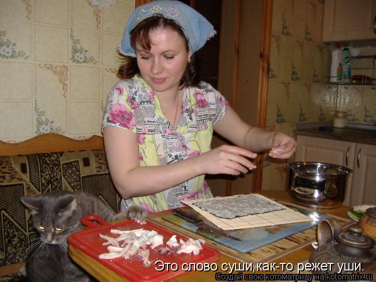 Котоматрица: Это слово суши,как-то режет уши.