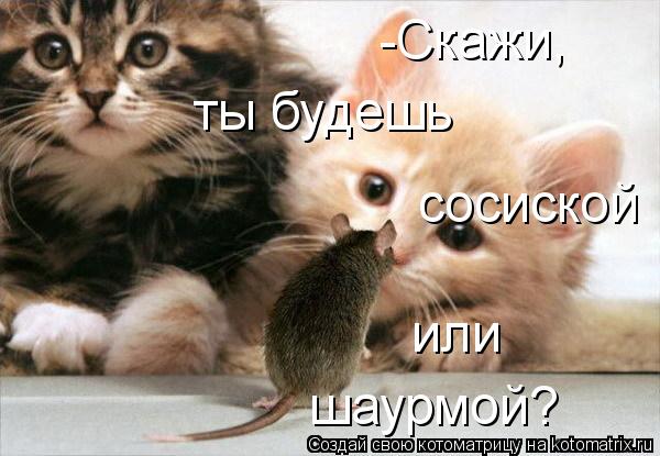Котоматрица: -Скажи, ты будешь сосиской или шаурмой?