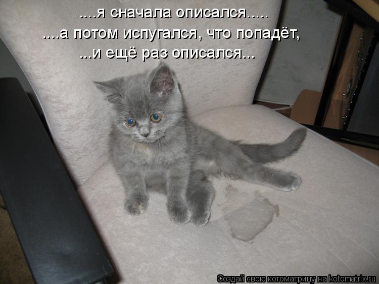 ....я сначала описался..... ....а потом испугался, что попадёт, ...и ещё раз описался...... Котоматрица: ....я сначала описался..... ....а потом испугался, что попадёт, ...и ещё раз описался...