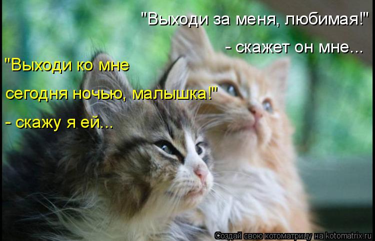 "Выходи за меня, любимая!" - скажет он мне... "Выходи ко мне сегодня ночью, малышка!" - скажу я ей..... Котоматрица: "Выходи за меня, любимая!" - скажет он мне... "Выходи ко мне сегодня ночью, малышка!" - скажу я ей...