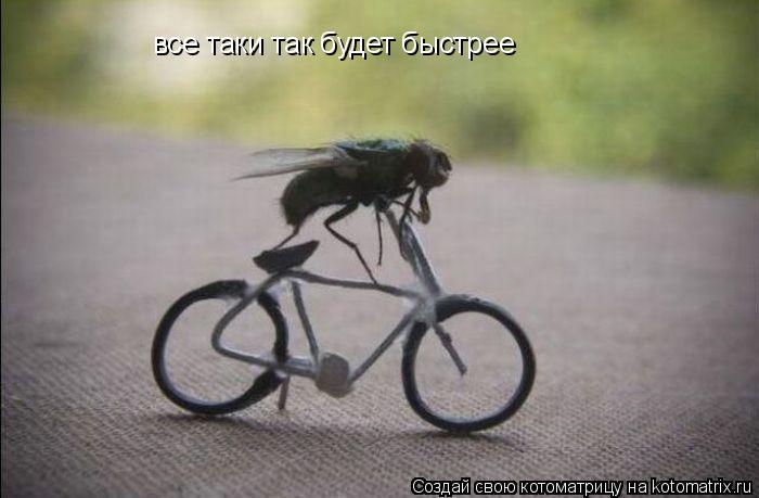 Котоматрица: все таки так будет быстрее