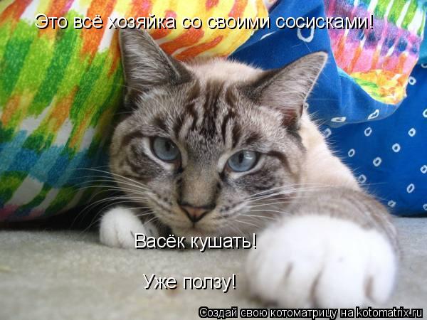 Котоматрица: Это всё хозяйка со своими сосисками! Васёк кушать! Уже ползу!
