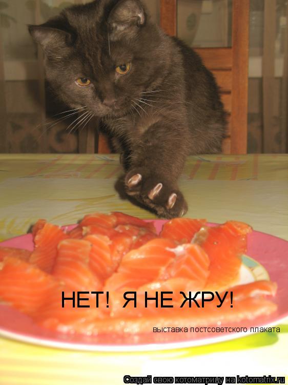 Котоматрица: НЕТ!  Я НЕ ЖРУ! выставка постсоветского плаката