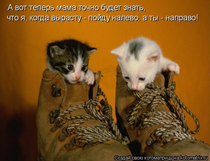 Котоматрица: А вот теперь мама точно будет знать,  что я, когда вырасту - пойду налево, а ты - направо!