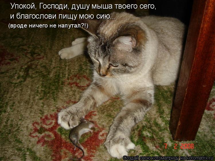Упокой, Господи, душу мыша твоего сего, и благослови пищу мою сию... (вроде ничего не напутал?!)... Котоматрица: Упокой, Господи, душу мыша твоего сего, и благослови пищу мою сию... (вроде ничего не напутал?!)