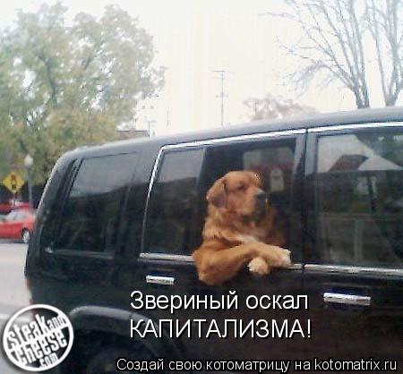 Котоматрица: Звериный оскал  КАПИТАЛИЗМА!