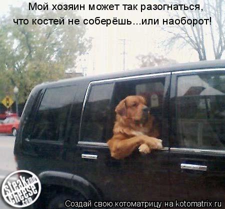 Котоматрица: Мой хозяин может так разогнаться, что костей не соберёшь...или наоборот!