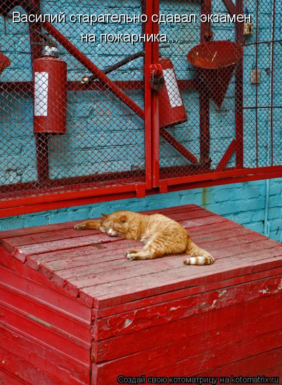 Василий старательно сдавал экзамен на пожарника...... Котоматрица: Василий старательно сдавал экзамен на пожарника...