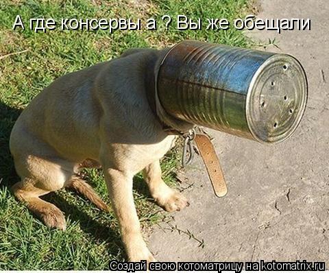 А где консервы а ? Вы же обещали А где консервы а ? Вы же обещали... Котоматрица: А где консервы а ? Вы же обещали А где консервы а ? Вы же обещали