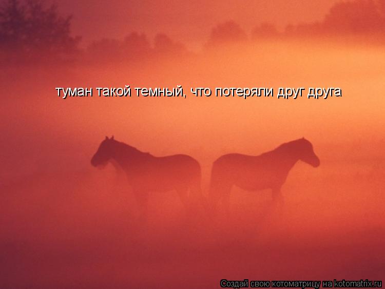 туман такой темный, что потеряли друг друга... Котоматрица: туман такой темный, что потеряли друг друга