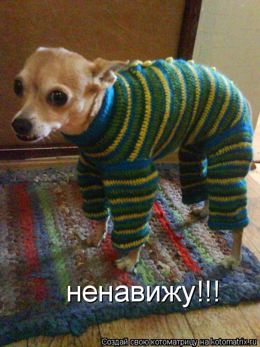 ненавижу!!!... Котоматрица: ненавижу!!!