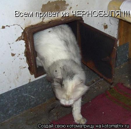 Всем привет из ЧЕРНОБЫЛЯ !!!!!!... Котоматрица: Всем привет из ЧЕРНОБЫЛЯ !!!!!!
