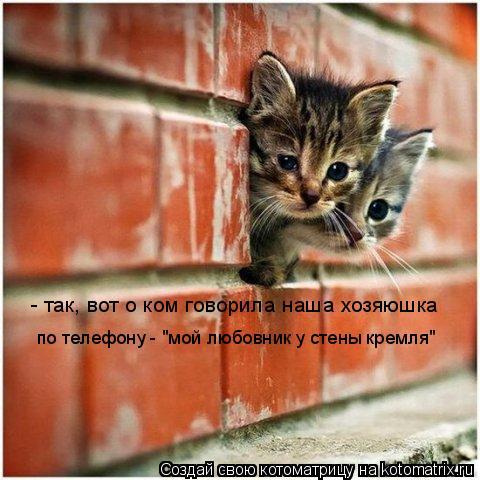- так, вот о ком говорила наша хозяюшка по телефону - "мой любовник у стены кремля"... Котоматрица: - так, вот о ком говорила наша хозяюшка по телефону - "мой любовник у стены кремля"