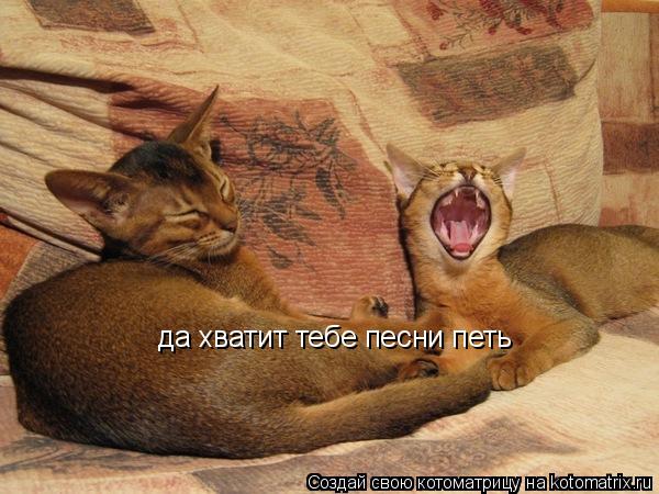 да хватит тебе песни петь... Котоматрица: да хватит тебе песни петь