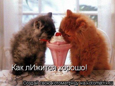 Как лИжится хорошо!... Котоматрица: Как лИжится хорошо!