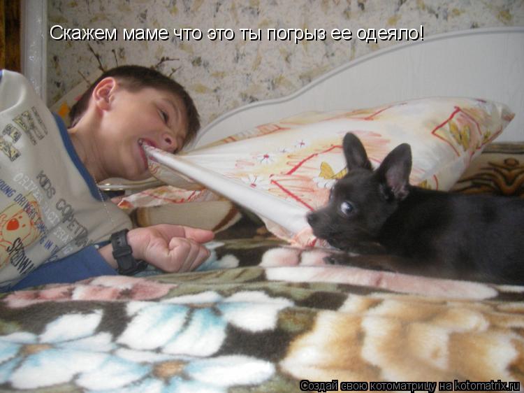 Скажем маме что это ты погрыз ее одеяло!... Котоматрица: Скажем маме что это ты погрыз ее одеяло!