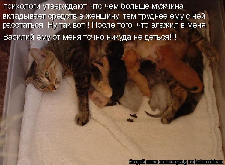 психологи утверждают, что чем больше мужчина вкладывает средств в женщину, тем труднее ему с ней Вас... Котоматрица: психологи утверждают, что чем больше мужчина вкладывает средств в женщину, тем труднее ему с ней Василий ему от меня точно никуда не деться