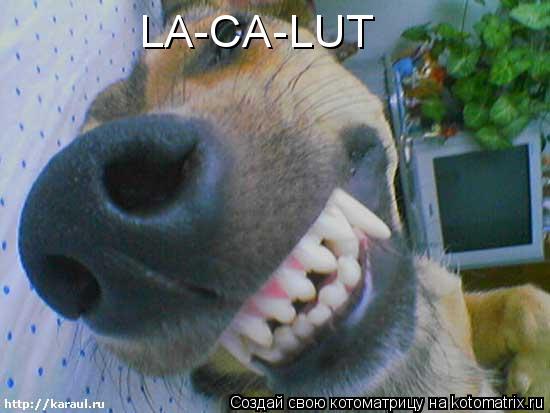 LA-CA-LUT... Котоматрица: LA-CA-LUT