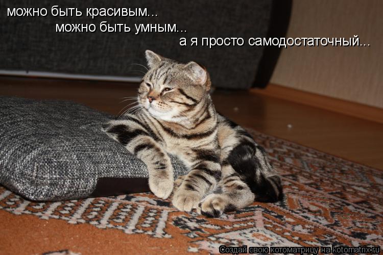 можно быть красивым... можно быть умным... а я просто самодостаточный...... Котоматрица: можно быть красивым... можно быть умным... а я просто самодостаточный...
