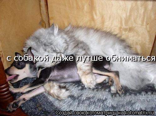 с собакой даже лутше обниматься... Котоматрица: с собакой даже лутше обниматься