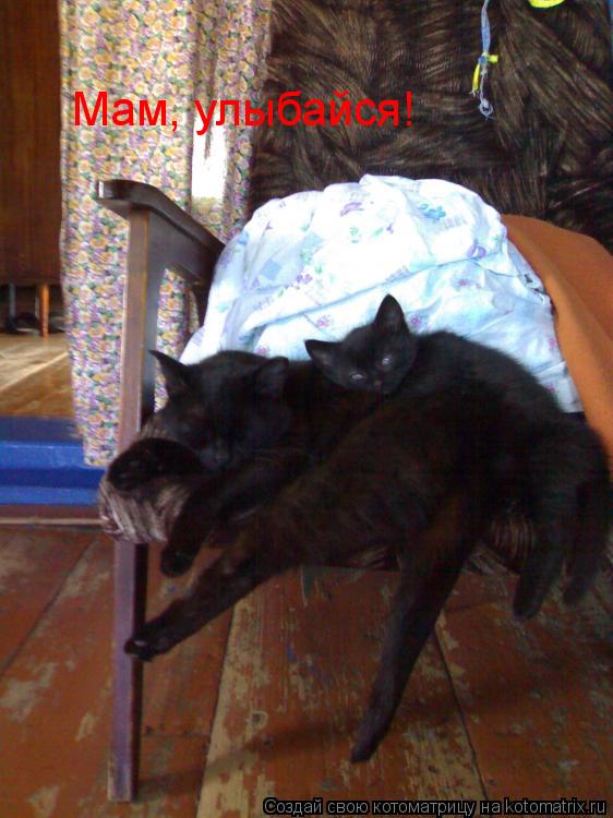 Мам, улыбайся!... Котоматрица: Мам, улыбайся!