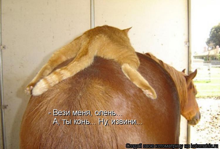 - Вези меня, олень... А, ты конь... Ну, извини...... Котоматрица: - Вези меня, олень... А, ты конь... Ну, извини...