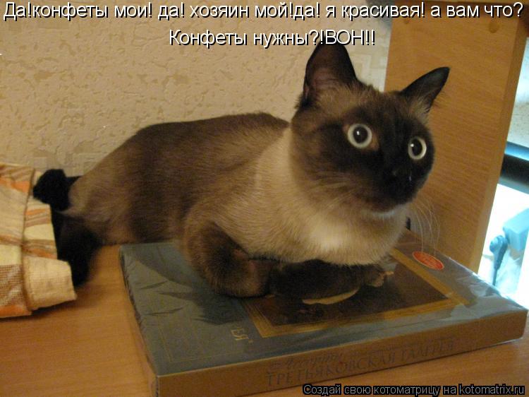 Да!конфеты мои! да! хозяин мой!да! я красивая! а вам что? Конфеты нужны?!ВОН!!... Котоматрица: Да!конфеты мои! да! хозяин мой!да! я красивая! а вам что? Конфеты нужны?!ВОН!!