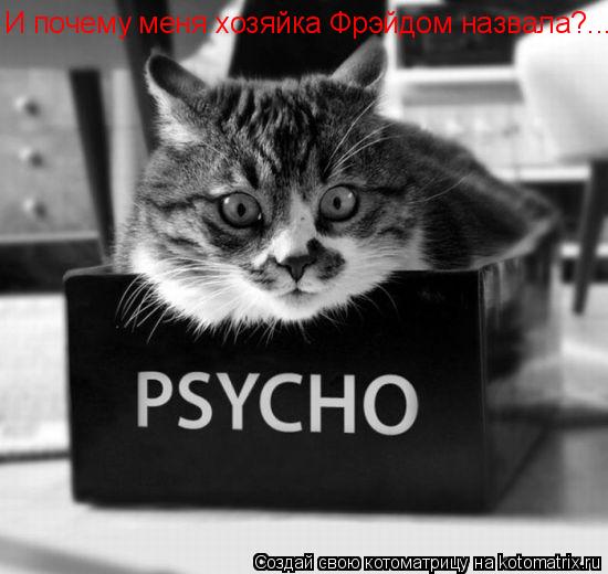И почему меня хозяйка Фрэйдом назвала?...... Котоматрица: И почему меня хозяйка Фрэйдом назвала?...