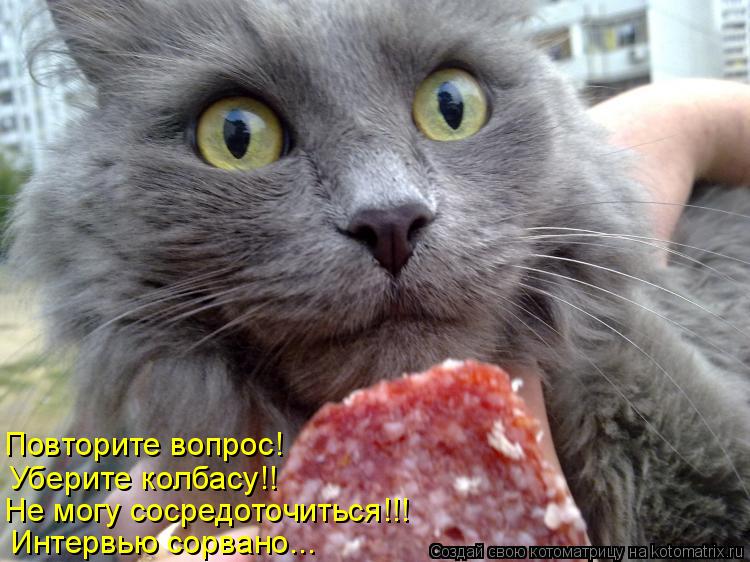 Повторите вопрос! Уберите колбасу!! Не могу сосредоточиться!!! Интервью сорвано...... Котоматрица: Повторите вопрос! Уберите колбасу!! Не могу сосредоточиться!!! Интервью сорвано...