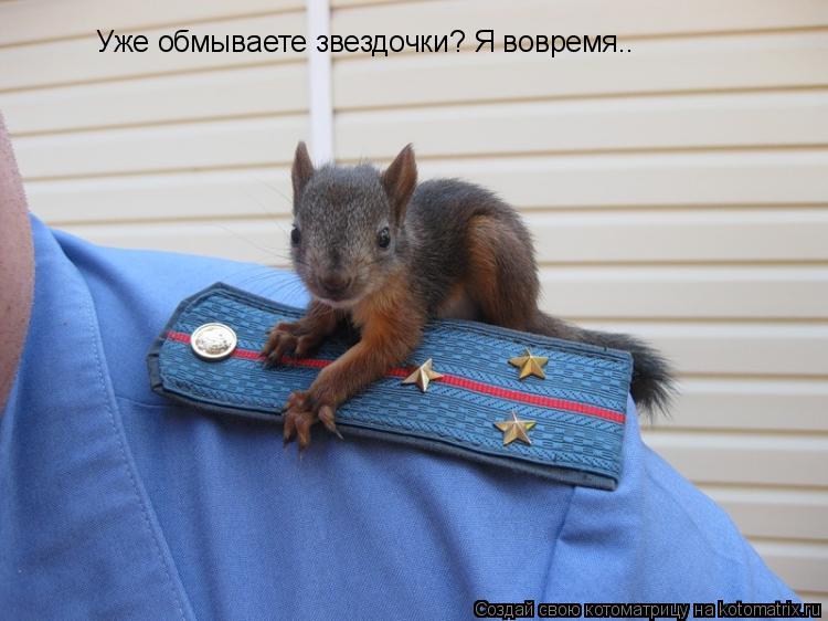 Уже обмываете звездочки? Я вовремя..... Котоматрица: Уже обмываете звездочки? Я вовремя..